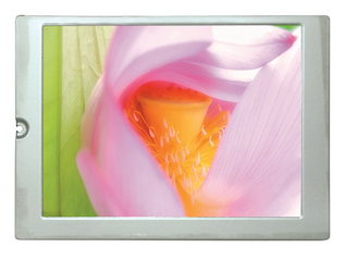 Powertip PH320240T032-IGA -TFT display