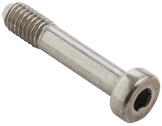 Bopla IS (21007960) - allen cheese-head screw for A 138, A 169, A 196-197 enclosures