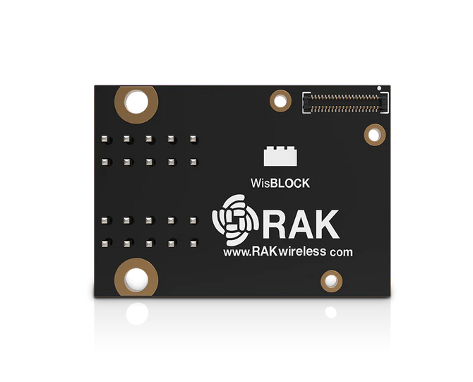 RAKwireless RAK13004 - interface module