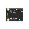 RAKwireless RAK13006 - moduł interfejsu
