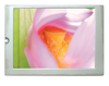 Powertip PH320240T032-IGA -TFT display