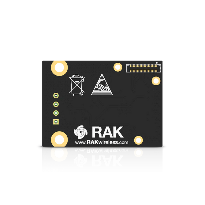 RAKwireless RAK13006 - moduł interfejsu