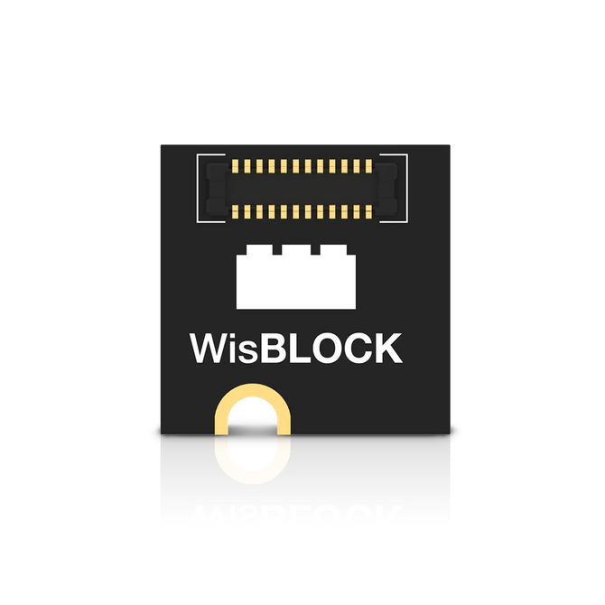 RAKwireless RAK1905 - czujnik śledzenia ruchu