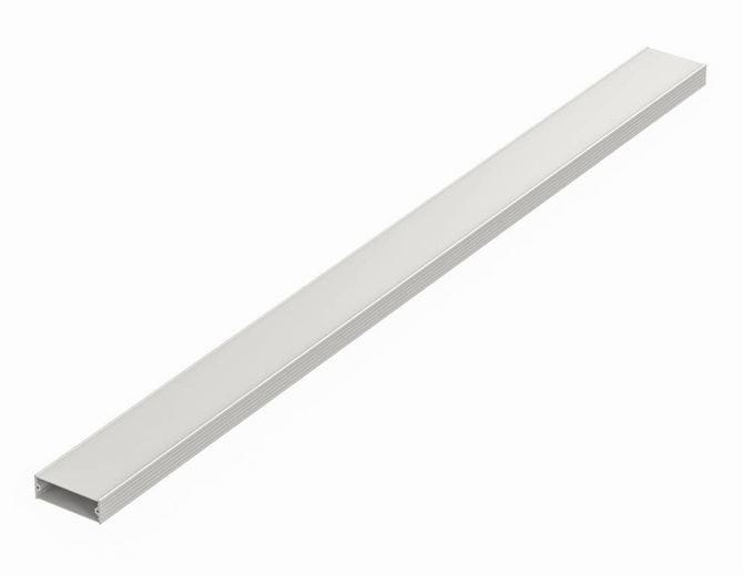 Bopla F 724-1000 (97173000) - profil aluminiowy półotwarty (71,8 x 24,4 x 1000 mm)