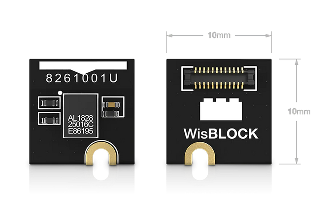 RAKwireless RAK15001 - memory module