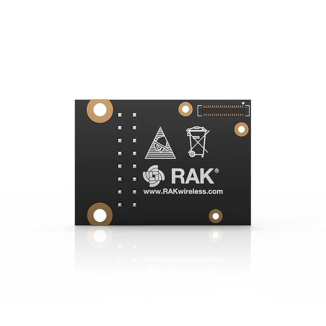 RAKwireless RAK16001 - moduł interfejsu