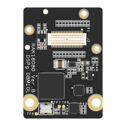 RAKwireless RAK18080 - moduł audio